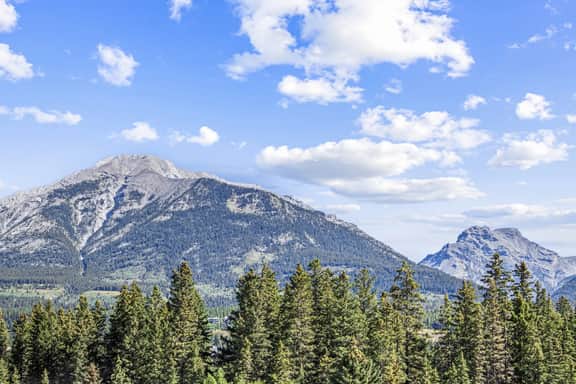 Tamarack 205B | Serenity Villa - Image 2